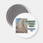 Florissant Fossil Bedden Magneet (Voorkant / Achterkant)