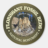 Florissant Fossil Bedden (NM) Magneet (Voorkant)