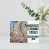 Florissant Fossil Beds Briefkaart (Staand voorkant)