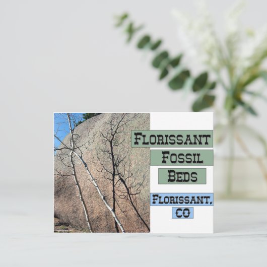 Florissant Fossil Beds Briefkaart (Staand voorkant)