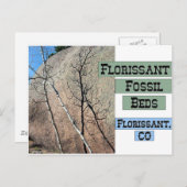 Florissant Fossil Beds Briefkaart (Voorkant / Achterkant)