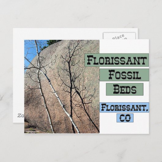Florissant Fossil Beds Briefkaart (Voorkant / Achterkant)