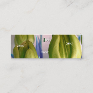 Florist - Green Rosey Tulips Mini Visitekaartje