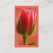 Florist - Roze Rose Visitekaartje (Achterkant)