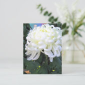 Floristisch dagblad:Briefkaart Briefkaart (Staand voorkant)