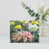 Floristisch dagblad:Briefkaart Briefkaart (Staand voorkant)