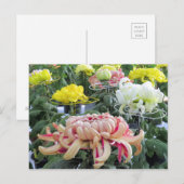 Floristisch dagblad:Briefkaart Briefkaart (Voorkant / Achterkant)