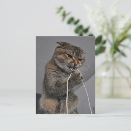 Flosscat Briefkaart (Staand voorkant)