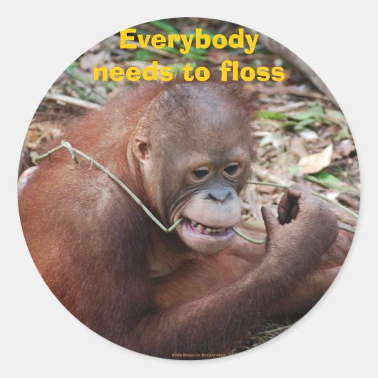 Flossen van tanden Tandheelkundige zorg stickers (Voorkant)