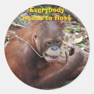 Flossen van tanden Tandheelkundige zorg stickers