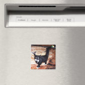 FLOSSIE MAGNEET (Insitu (Vaatwasser))