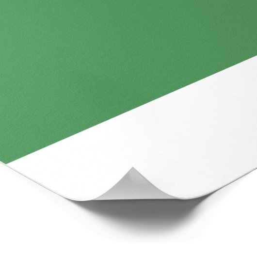 Flossoraptor Philosoraptor Poster (Hoek)