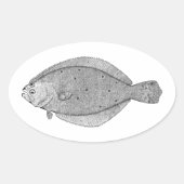 Flounder - Fluke  Illustratie Ovale Sticker (Voorkant)