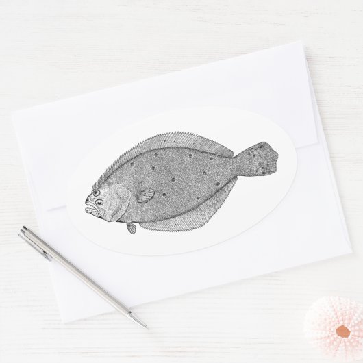 Flounder - Fluke  Illustratie Ovale Sticker (Envelop)