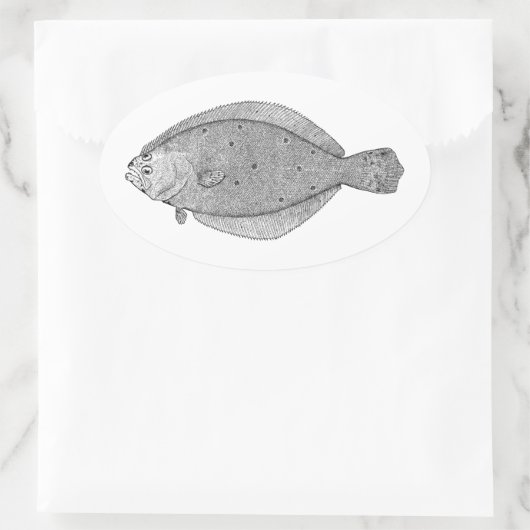 Flounder - Fluke  Illustratie Ovale Sticker (Tas)