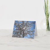 Flourting Cherry Blossom Tree Notecard Bedankkaart (Voorkant)