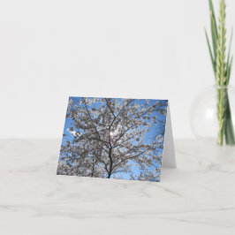 Flourting Cherry Blossom Tree Notecard Bedankkaart