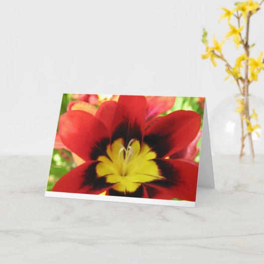 Flower1 Kaart (Gele Bloem)