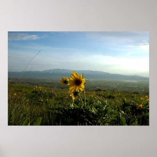 Flower and Wellsville mountaingebuur Poster (Voorkant)