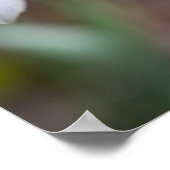 Flower Art Ladybug Gallery Flower Garden ArtFlower Poster (Hoek)