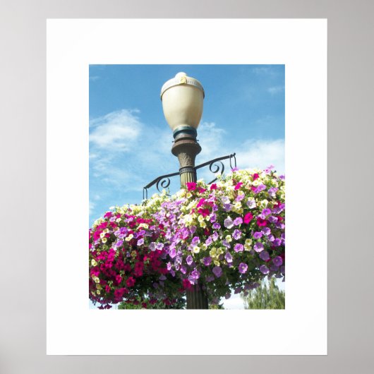 Flower Baskets Poster (Voorkant)