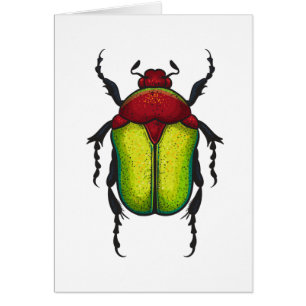 Flower beetle