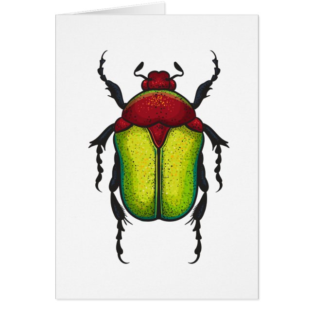 Flower beetle (Voorkant)
