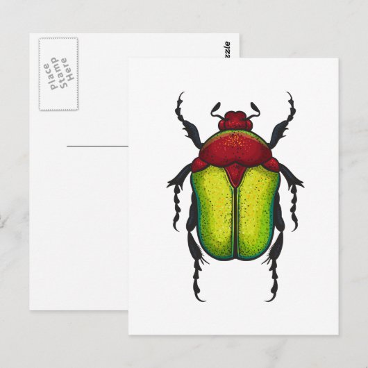 Flower beetle briefkaart (Voorkant / Achterkant)