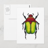 Flower beetle briefkaart (Voorkant / Achterkant)