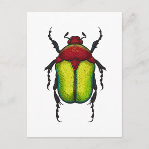 Flower beetle briefkaart