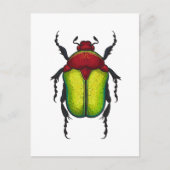 Flower beetle briefkaart (Voorkant)