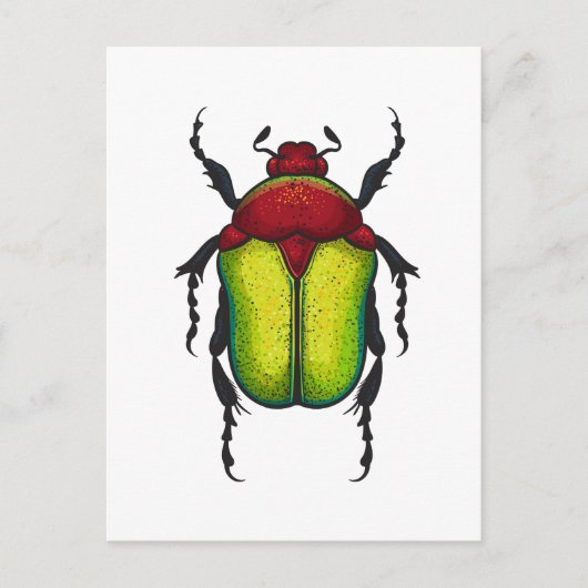 Flower beetle briefkaart (Voorkant)