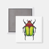 Flower beetle magneet (Voorkant / Achterkant)