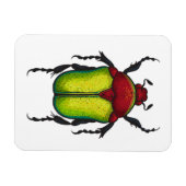 Flower beetle magneet (Horizontaal)