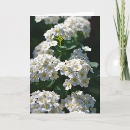 Flower Blank Wenskaart Kaart (Voorkant)