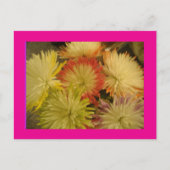 Flower Bouquet Postcard Briefkaart (Voorkant)