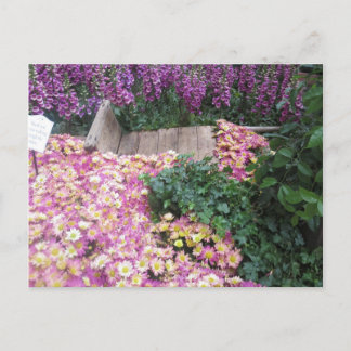 FLOWER Butterfly Garden Vegas Elegant Kleurrijk ca Briefkaart