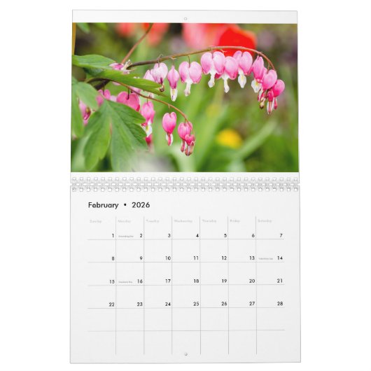 Flower Calendar by Jody Wiele Photography Kalender (Feb 2026)