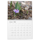 Flower Calendar by Jody Wiele Photography Kalender (Jan 2026)