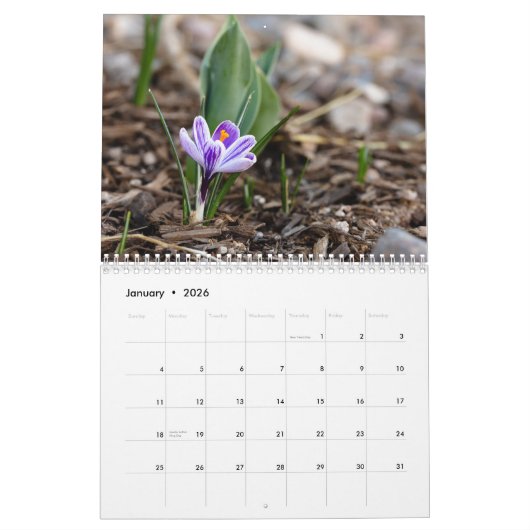 Flower Calendar by Jody Wiele Photography Kalender (Jan 2026)