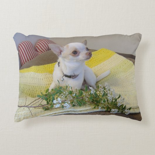Flower Chihuahua Accent Pillow Kussen (Voorkant)