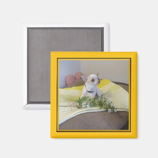 Flower Chihuahua Magnet (Voorkant / Achterkant)