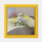 Flower Chihuahua Magnet (Voorkant)