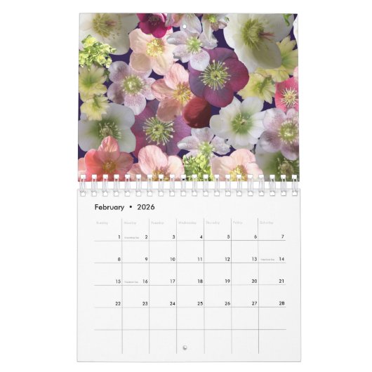 Flower Collage  Kalender (Feb 2026)