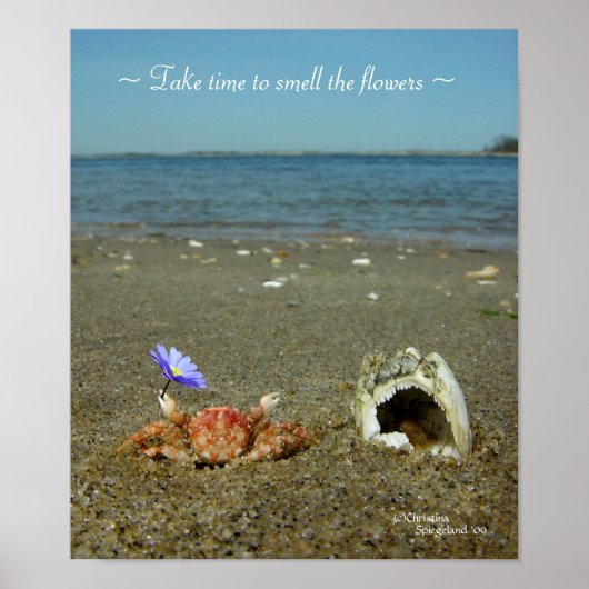 Flower Crab Ocean Poster (Voorkant)