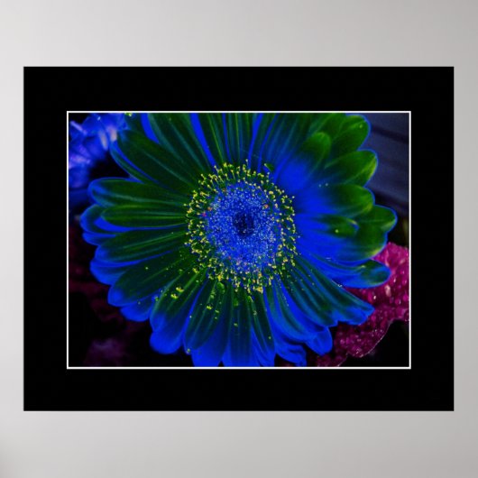 Flower Dahlia Blue Abstract Poster (Voorkant)