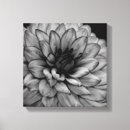 Flower Dahlia Canvas Afdruk (Voorkant)
