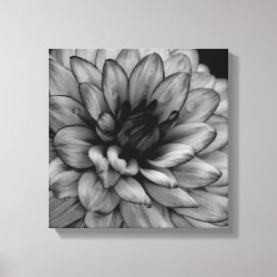 Flower Dahlia Canvas Afdruk