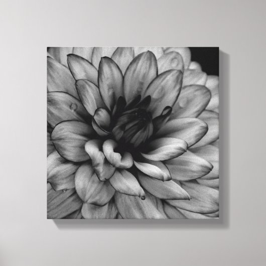 Flower Dahlia Canvas Afdruk (Voorkant)