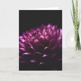 Flower Dahlia Kaart